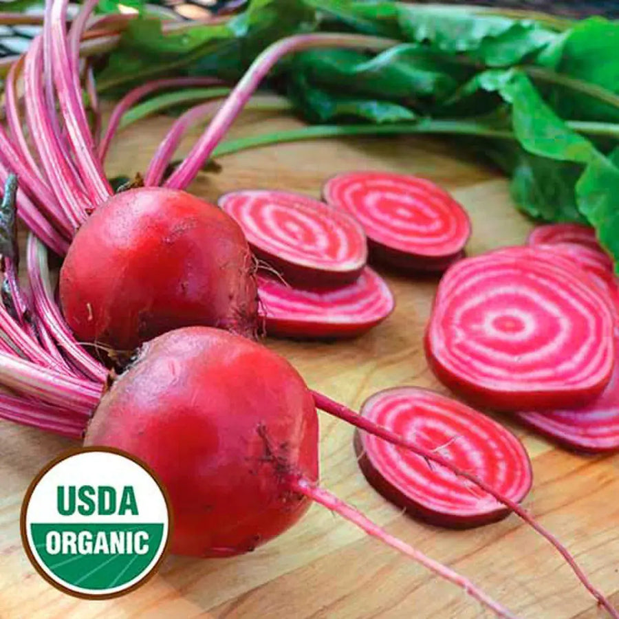 Organic Chioggia Beet - Beta vulgaris Seed