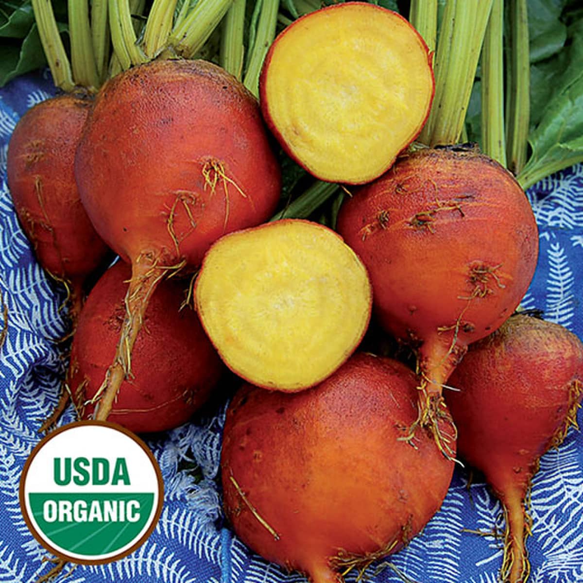 Organic Burpee's Golden Beet - Beta vulgaris Seeds