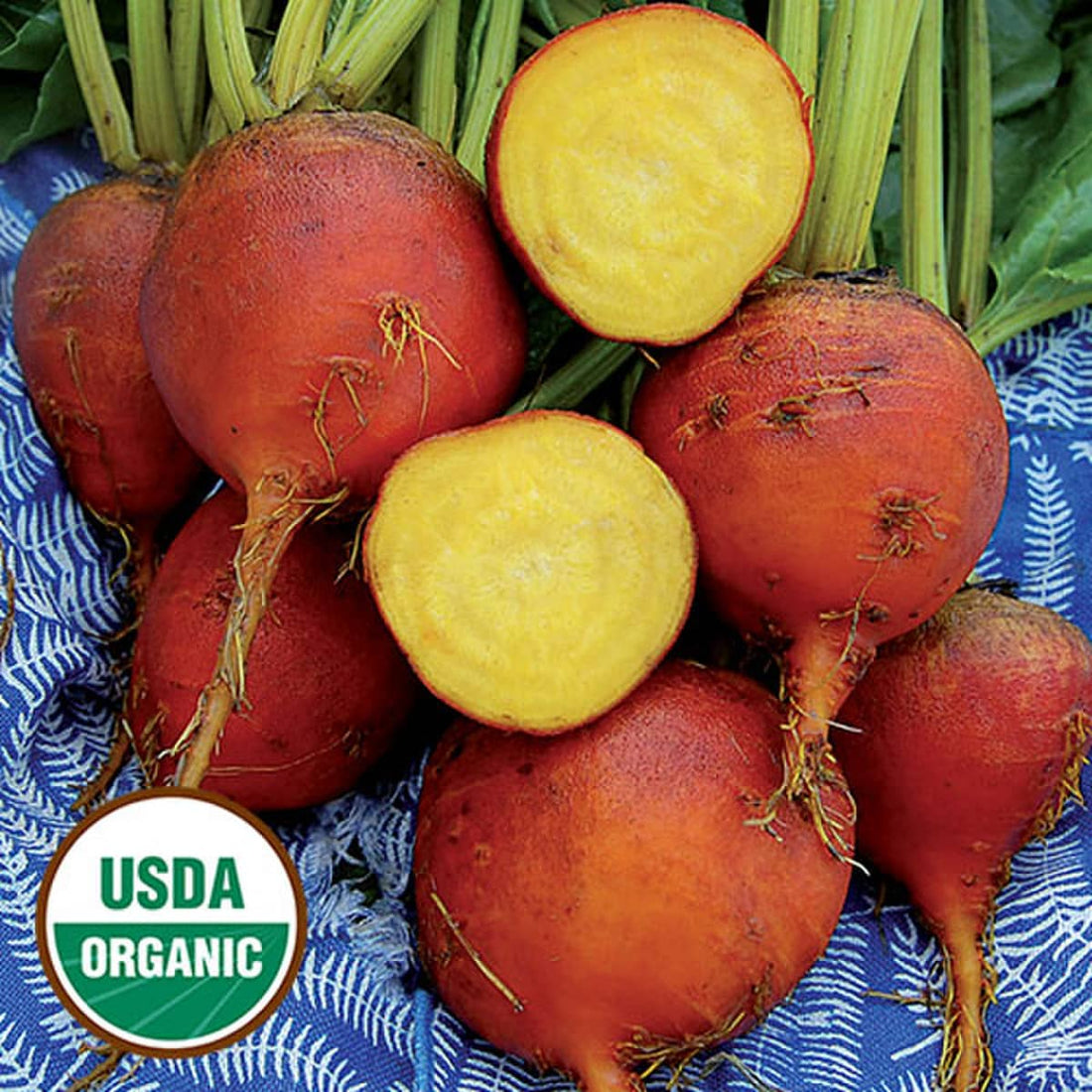 Organic Burpee's Golden Beet - Beta vulgaris Seeds
