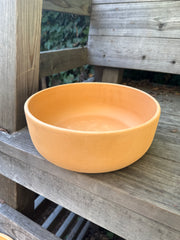 Color Bowl