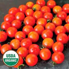 Currant Sweet Pea Tomato Seeds, Organic