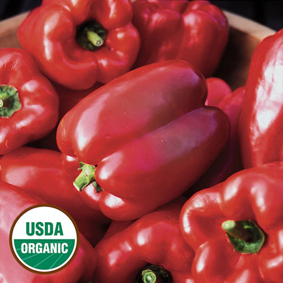 Organic King of the North Pepper Seeds