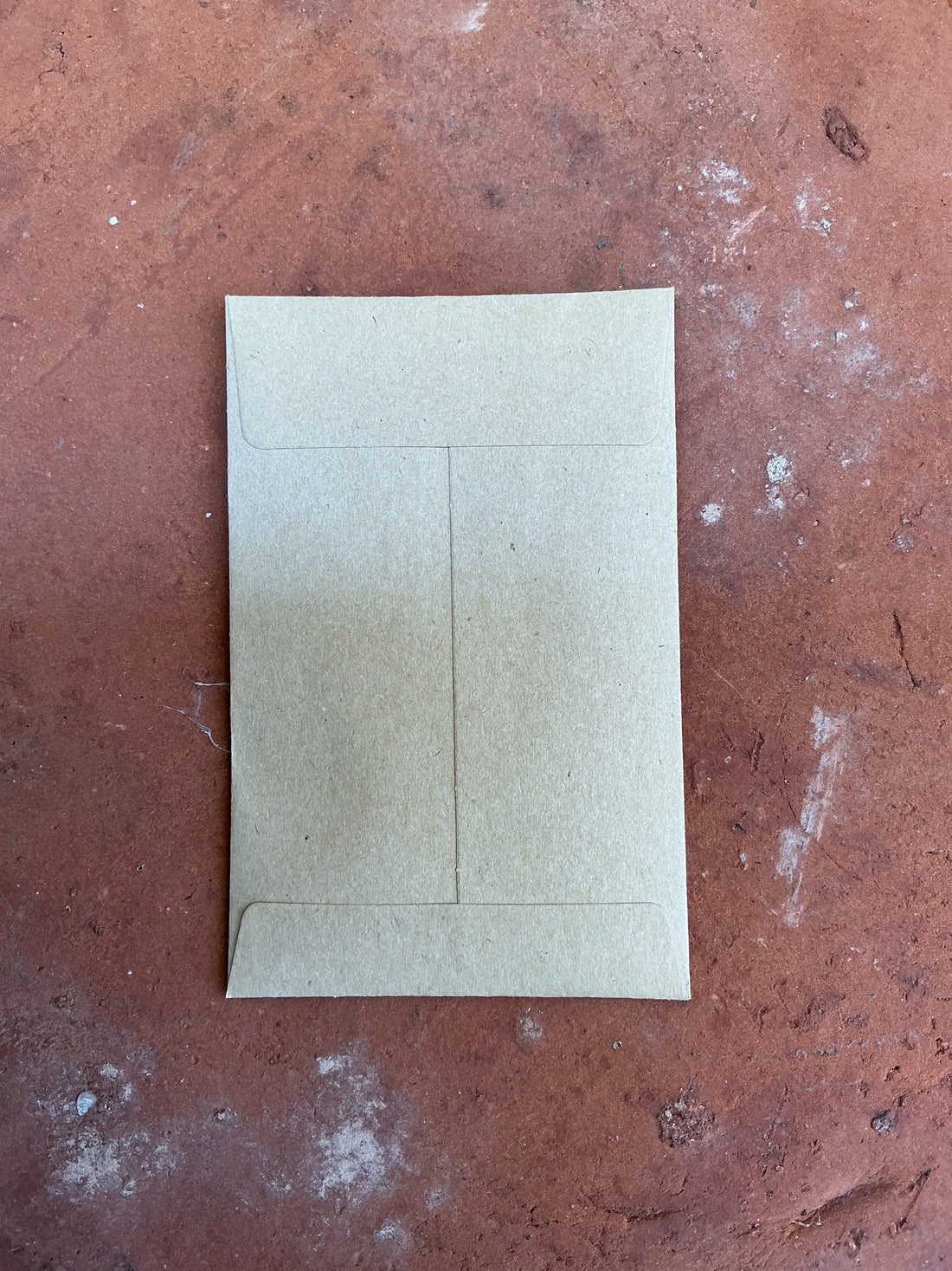 Asclepias eriocarpa, California Monarch Milkweed Seed Pack