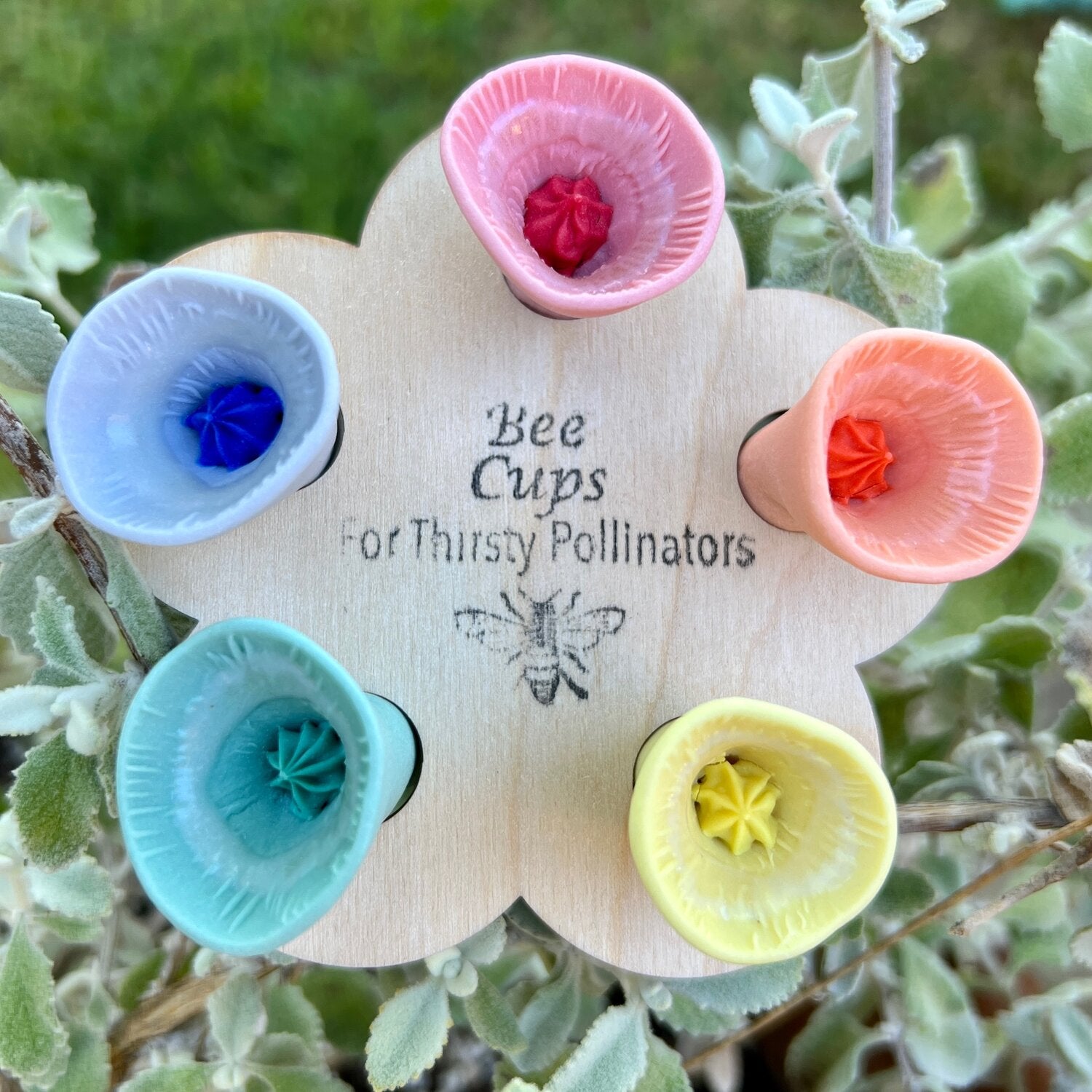 Bee Vision Bee Vision Variety Pack-5 pack – Plant Material