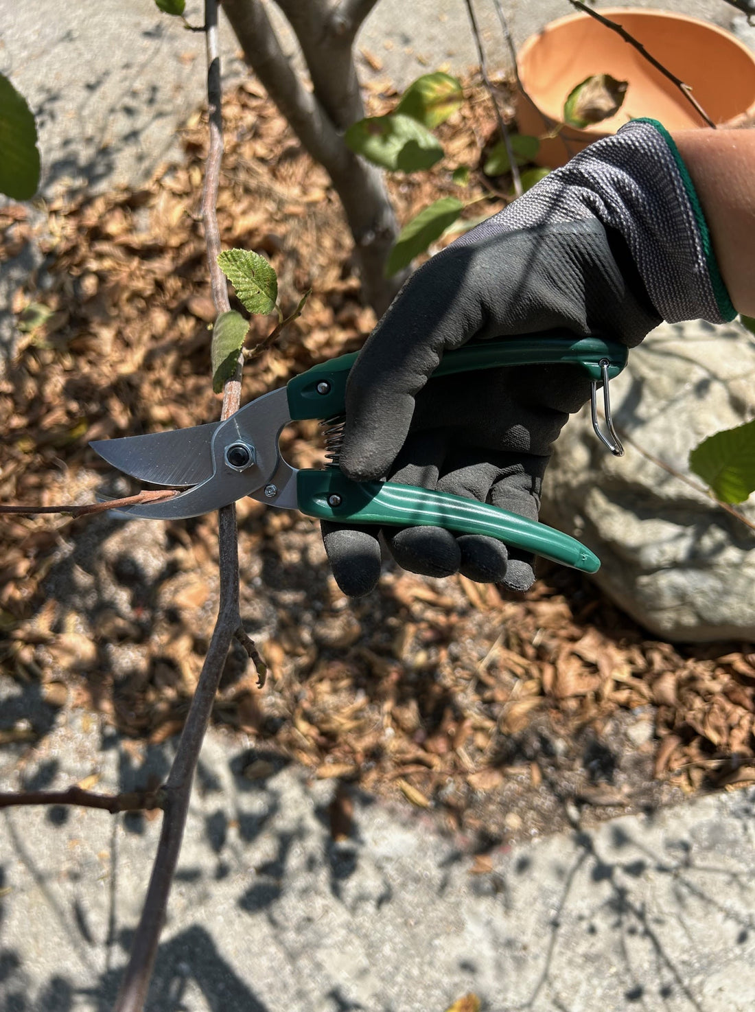 ARS Gardening Pruners - GC-130 with Niwaki gloves