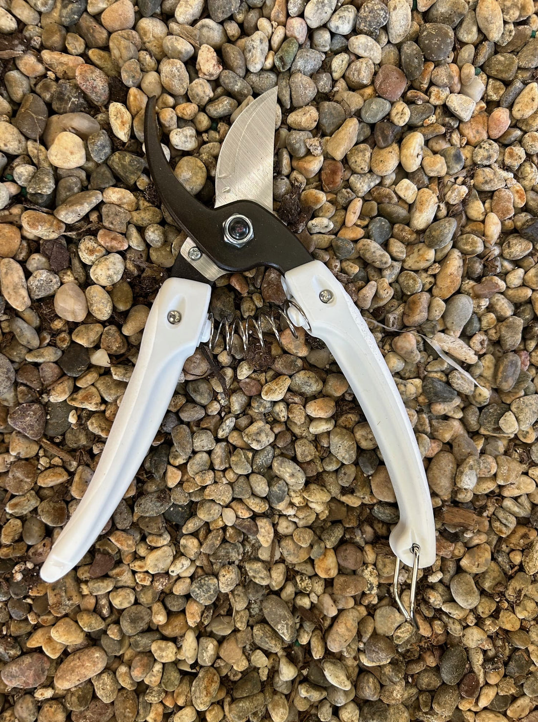 ARS  Pruners - Mini Choki open