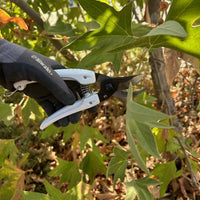 ARS  Pruners - Mini Choki with Niwaki Glove