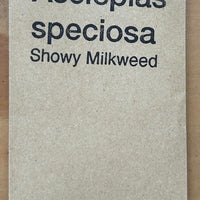 Asclepias speciosa, Showy Milkweed Seeds