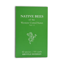 BeeSip - Native Bees of the Western United States Flash Cards