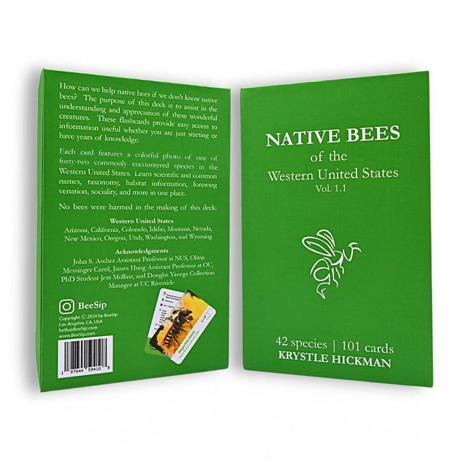 BeeSip - Native Bees of the Western United States Flash Cards