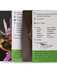 BeeSip - Native Bees of the Western United States Flash Cards