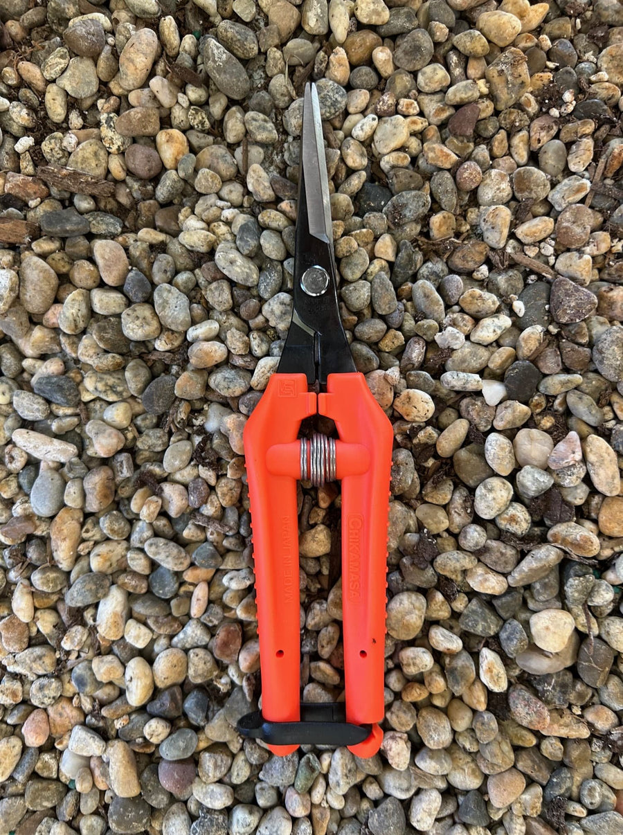 Chikamasa Ultra Light Shears