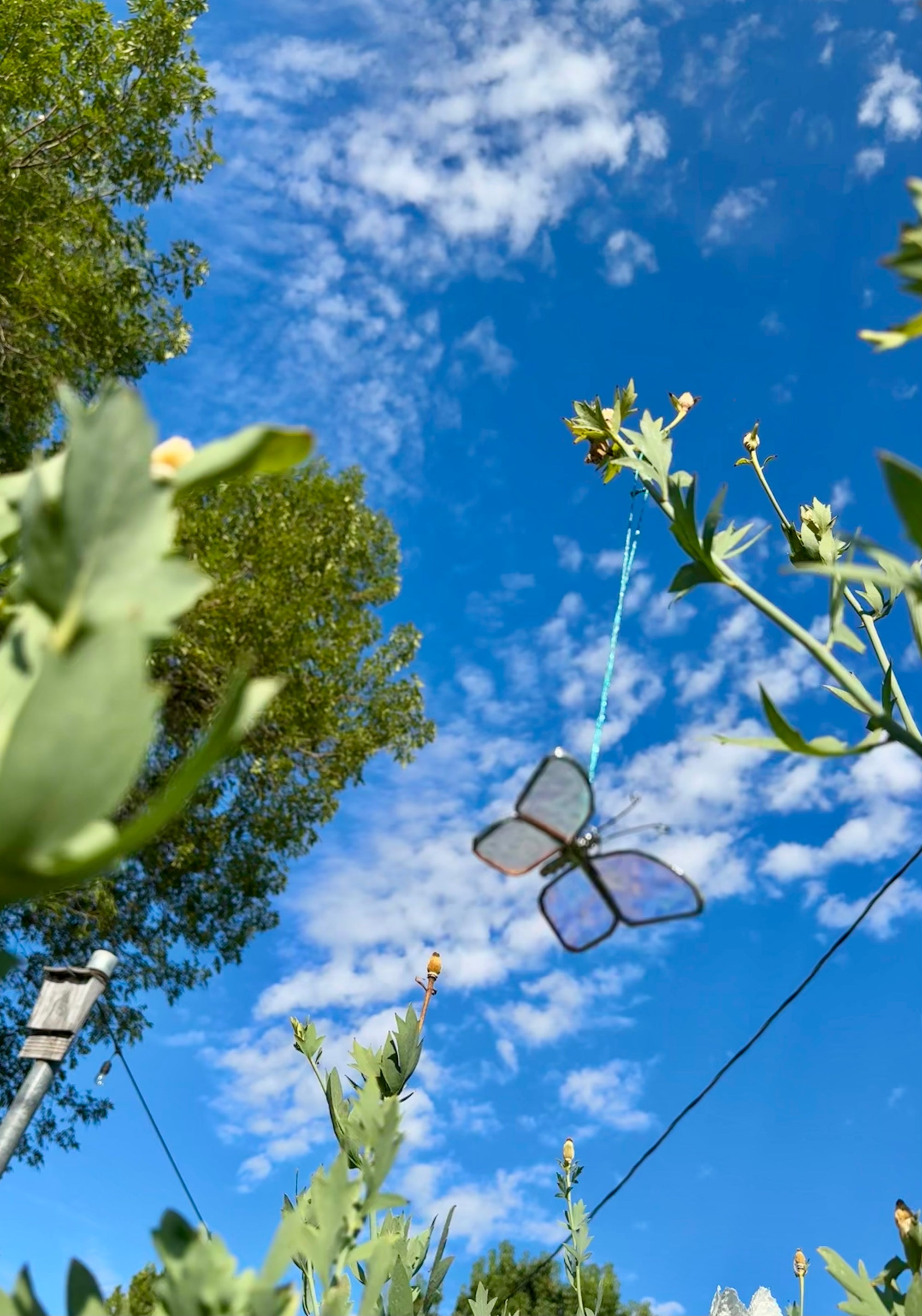 Stained Glass Butterfly Suncatcher
