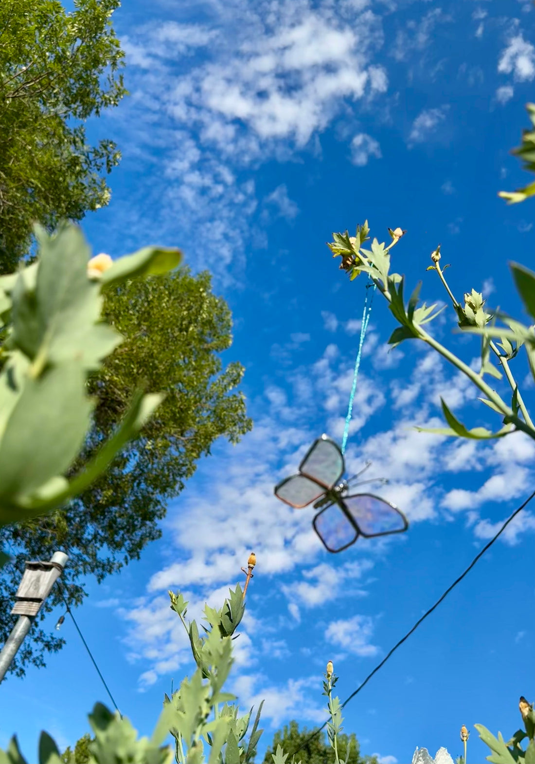 Stained Glass Butterfly Suncatcher