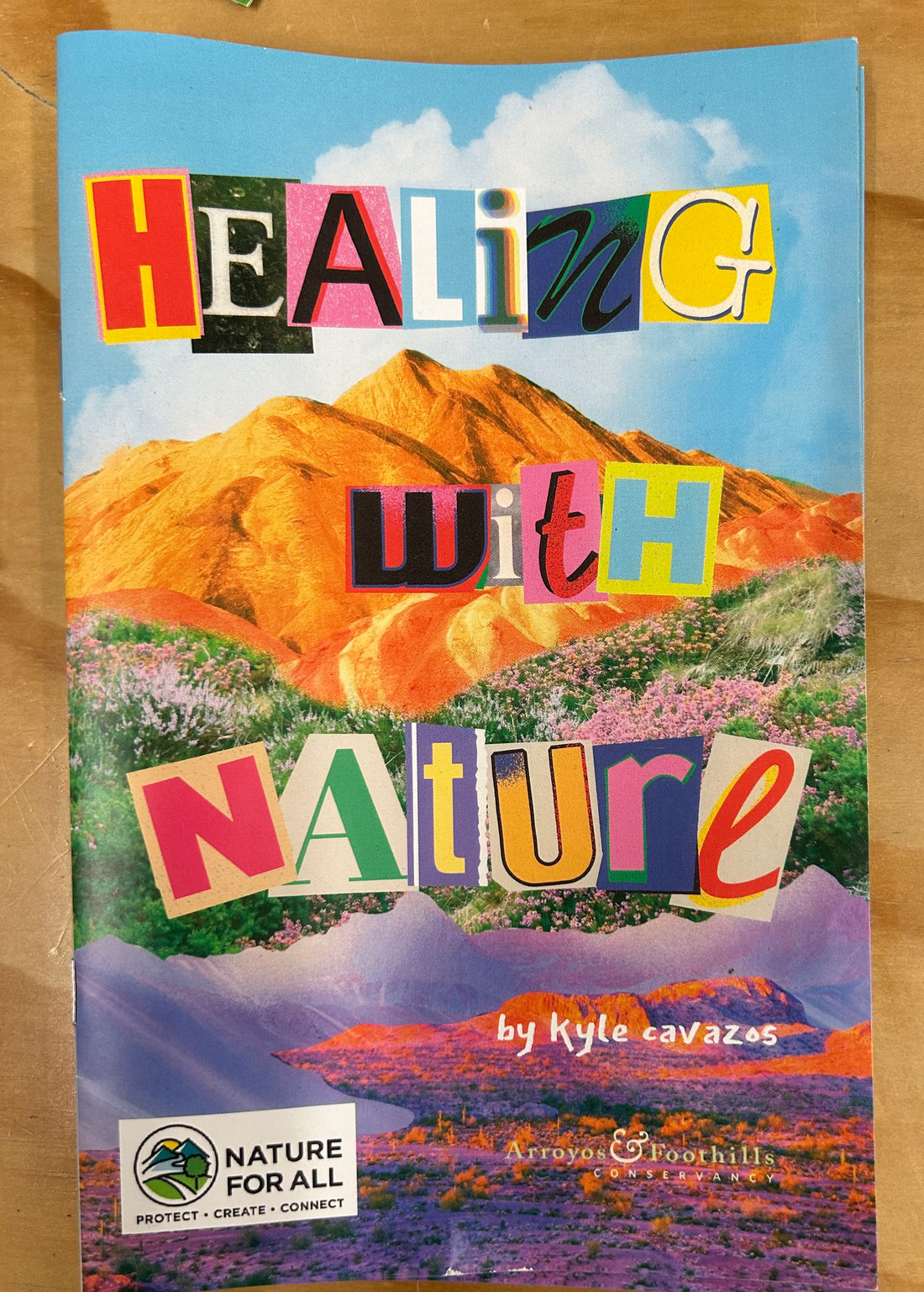 Healing with Nature Zine