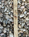 Ceramic Plant Markers