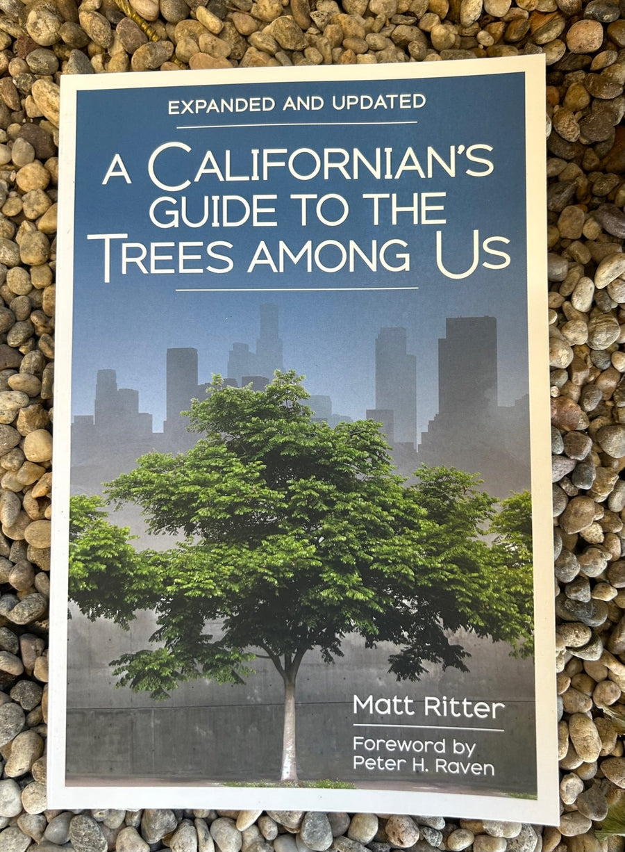 A California's Guide to the Trees Among Us