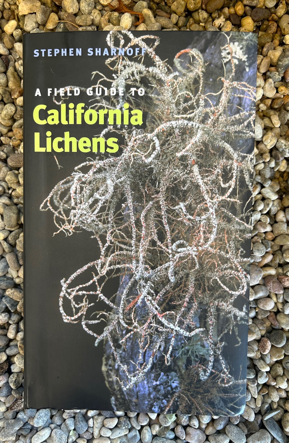 A Field Guide to California Lichens