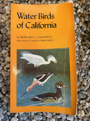 Water Birds of California