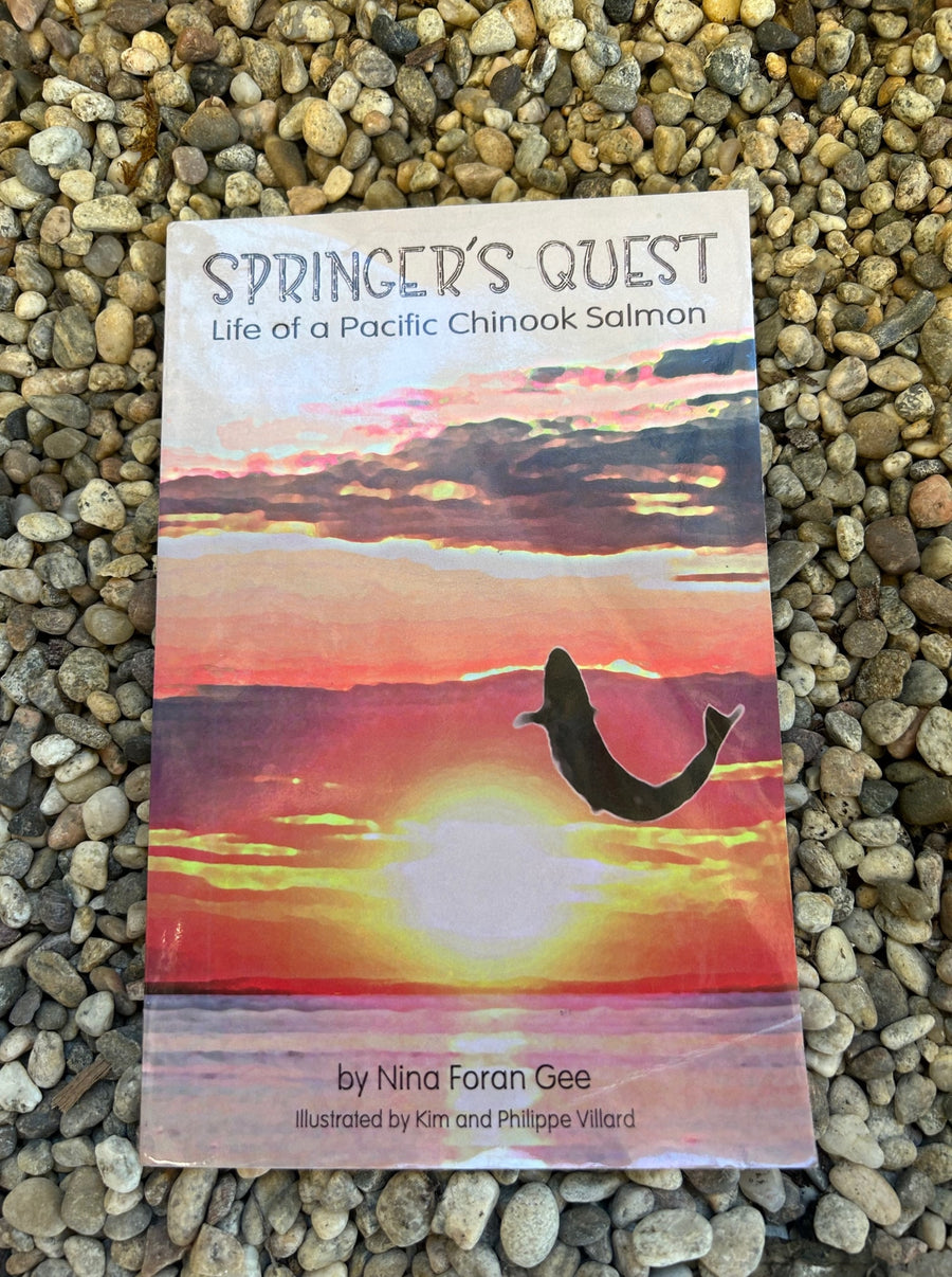 Springers Quest- Life of a Pacific Chinook Salmon