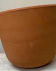 Egg Indoor/Outdoor Planters