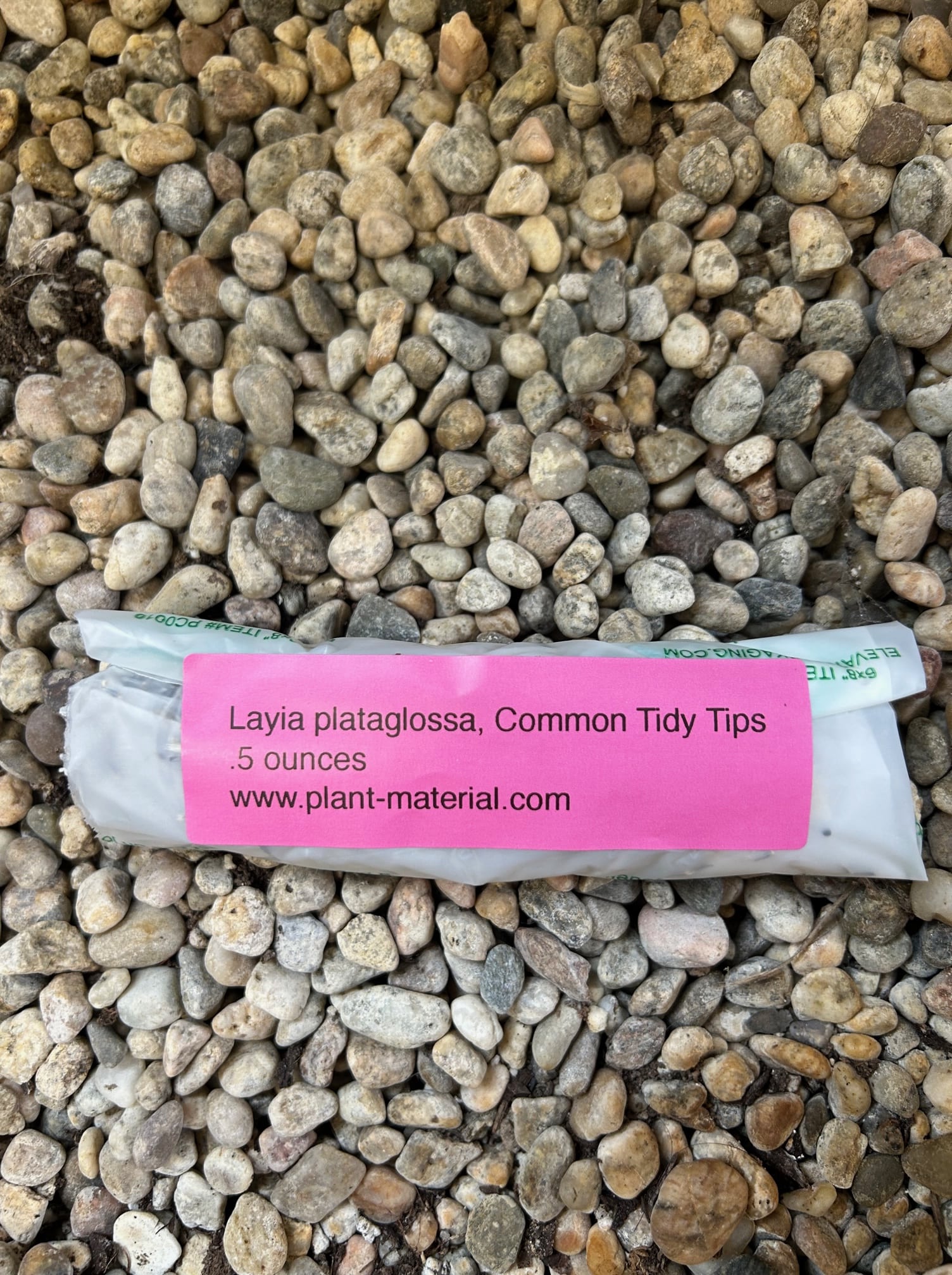 Layia plataglossa, Common Tidy Tips Seed Pack – Plant Material
