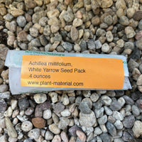 Achillea millifolium, White Yarrow Seed Pack
