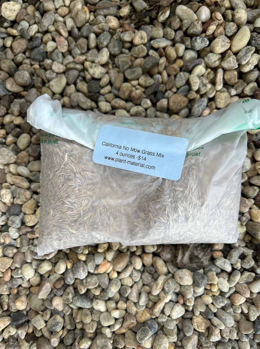 California No Mow Grass Mix Seed Pack