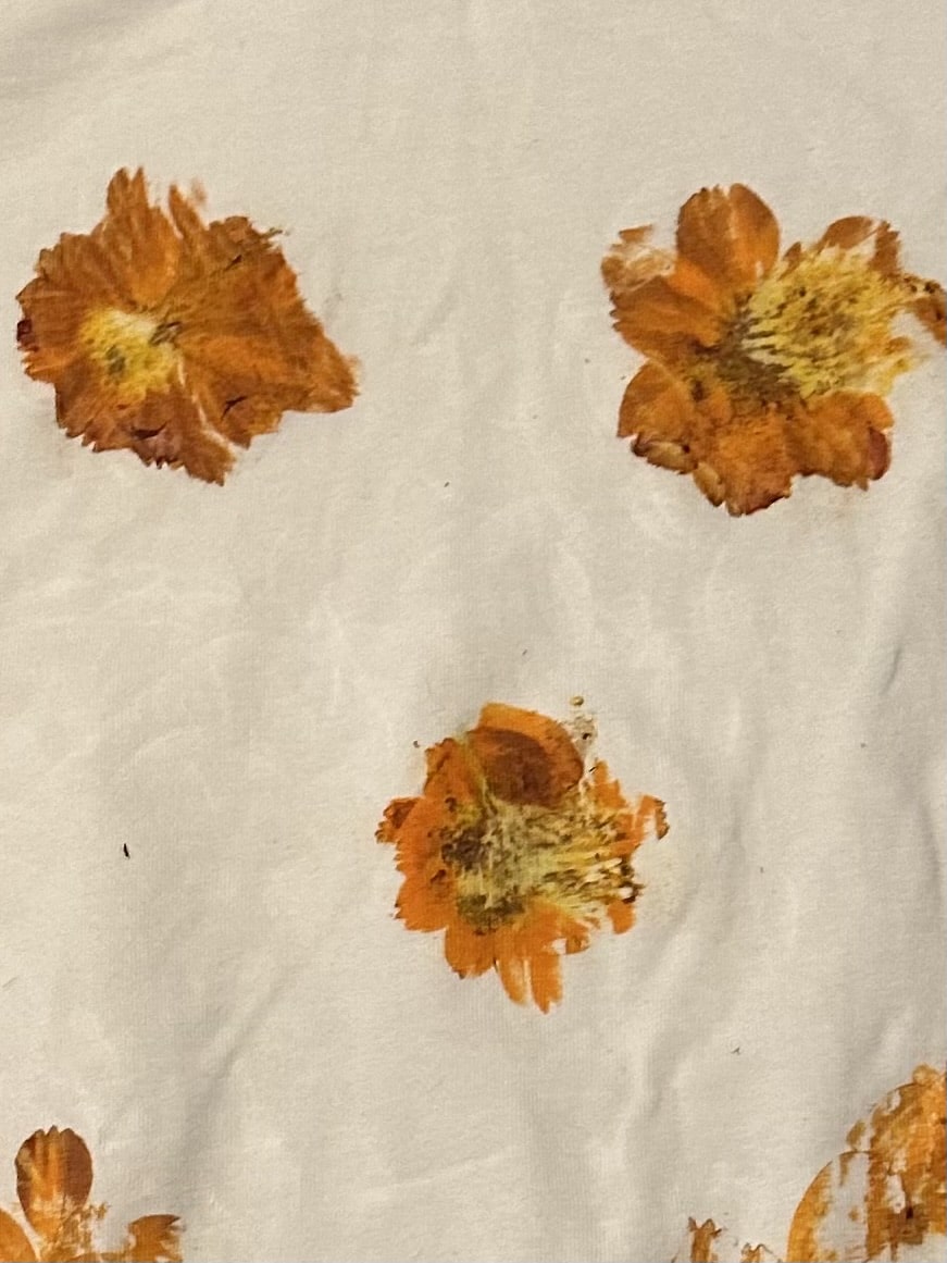 Coreopsis printed on fabric