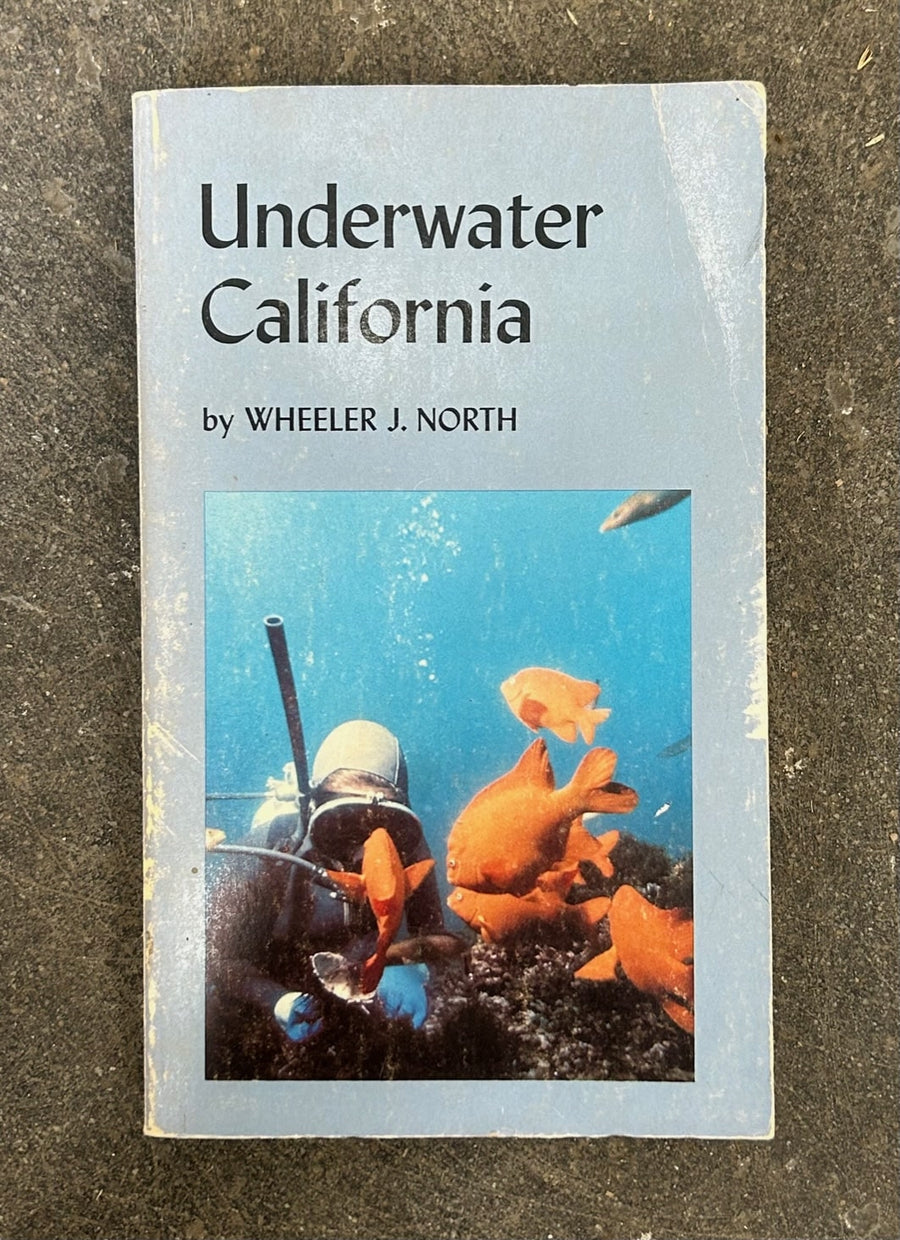 Underwater California