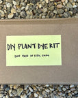 DIY Natural Dye Kit - One Pair of Kids Socks 