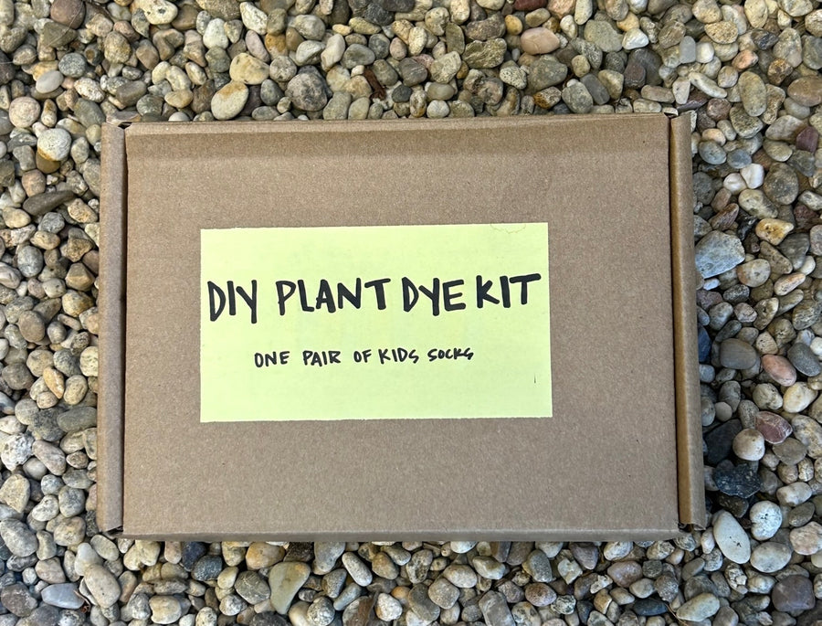DIY Natural Dye Kit - One Pair of Kids Socks 