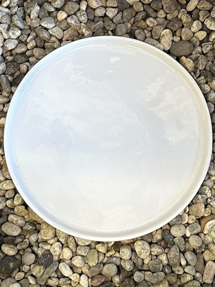 6" Gloss White Saucer Plant Material