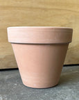 Gray Indoor/outdoor Planters