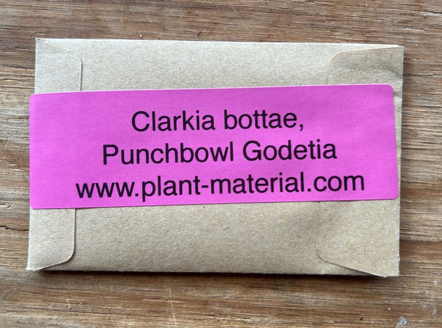 Clarkia bottae, Punchbowl Godetia Seed Pack