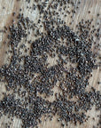 Clarkia bottae, Punchbowl Godetia Seeds
