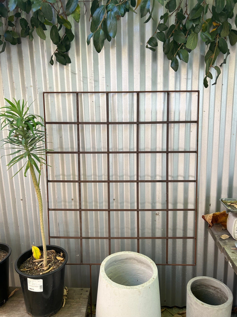 indoor wall trellis for plants Metal Trellis – Plant Material