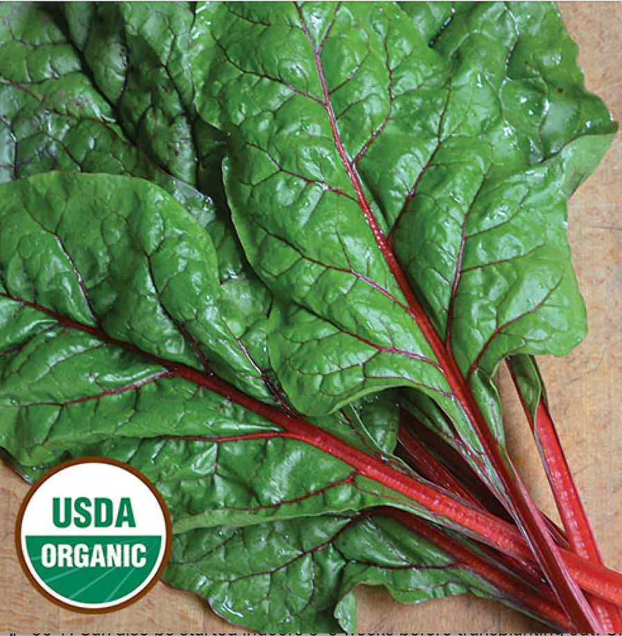 Organic Rhubarb Red Swiss Chard Seeds