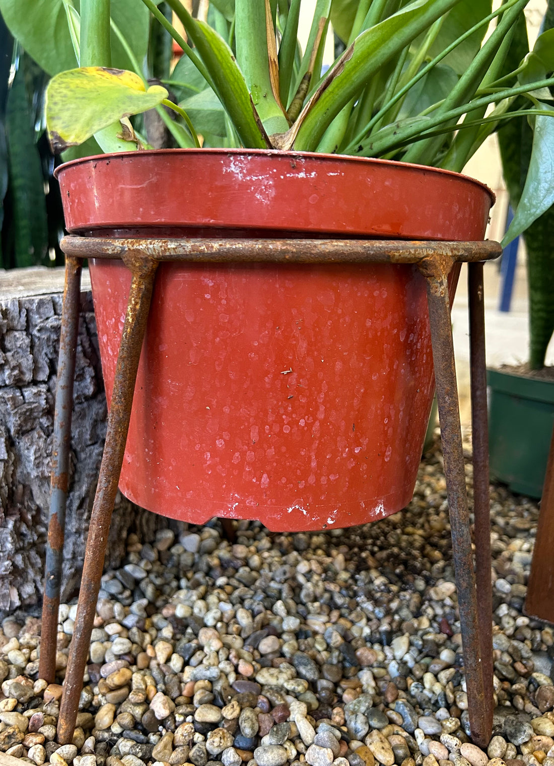 Rusty Metal Plant Stand