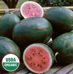 Organic Picnic Watermelon