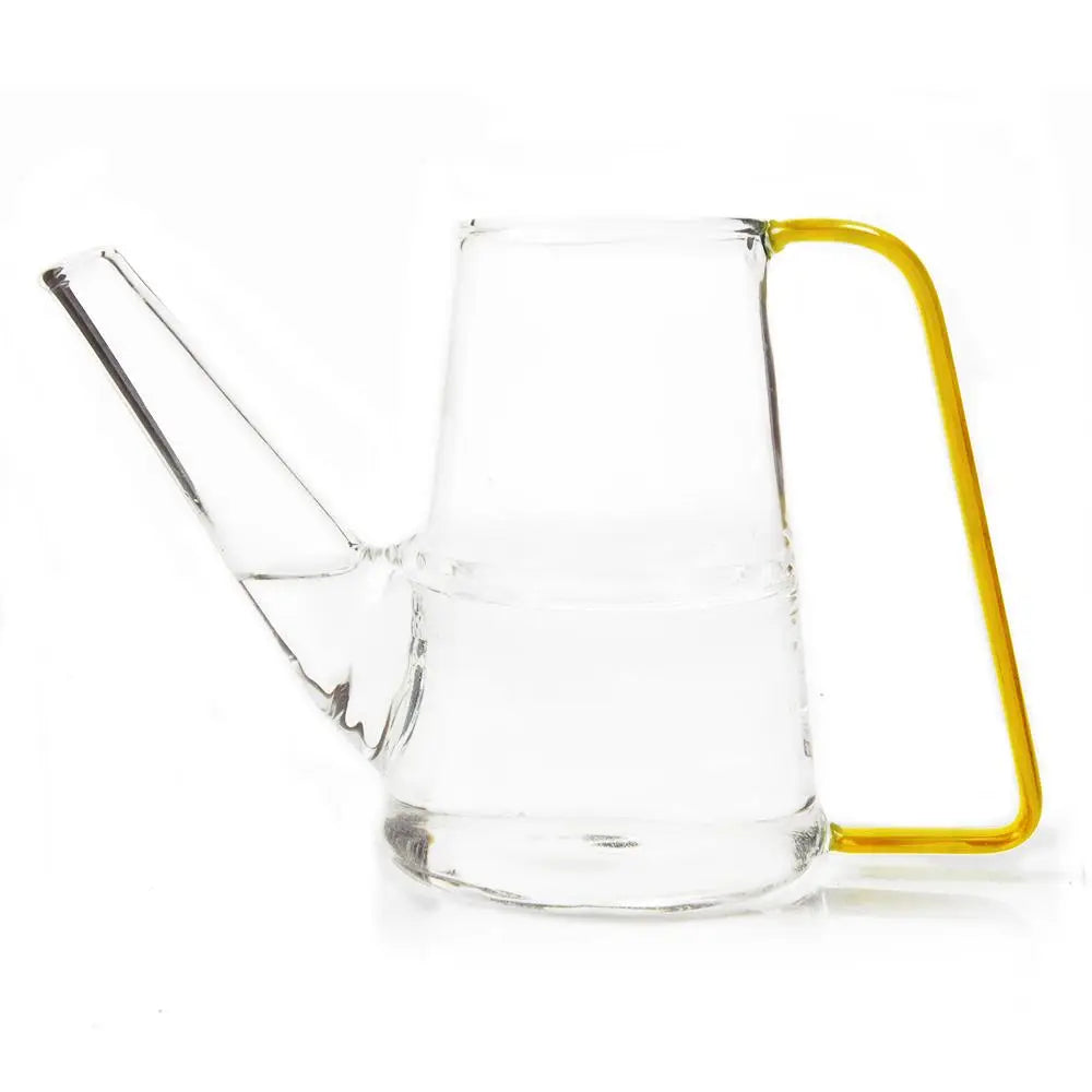 Glass Plant Watering Can