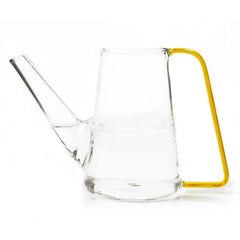 Glass Plant Watering Can