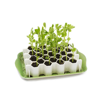 Sproutjoy Seed Starter Kit