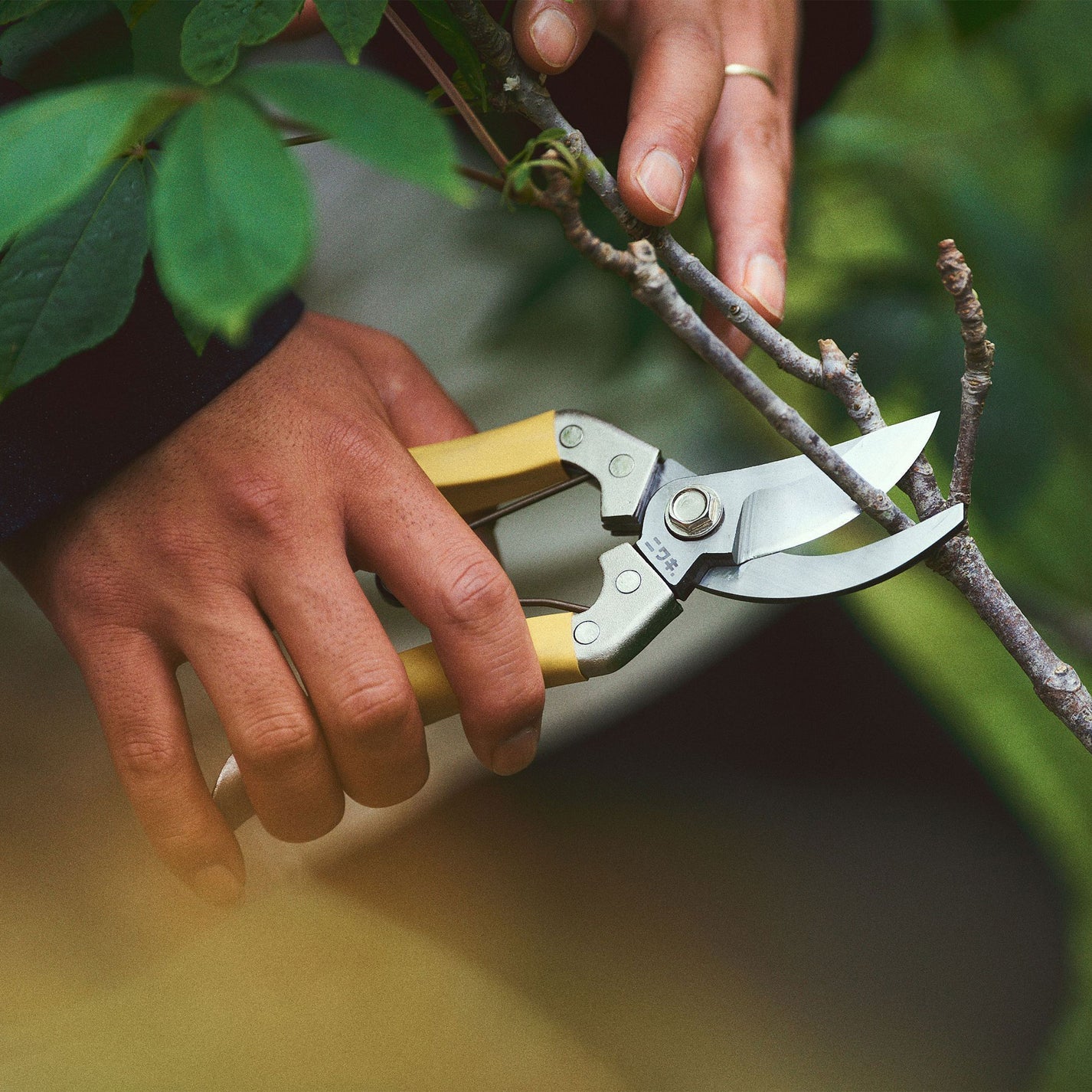 Daikiba Secateurs with Canvas Sheath
