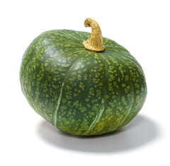 Organic Burgess Buttercup Squash - Curcurbita maxima seeds