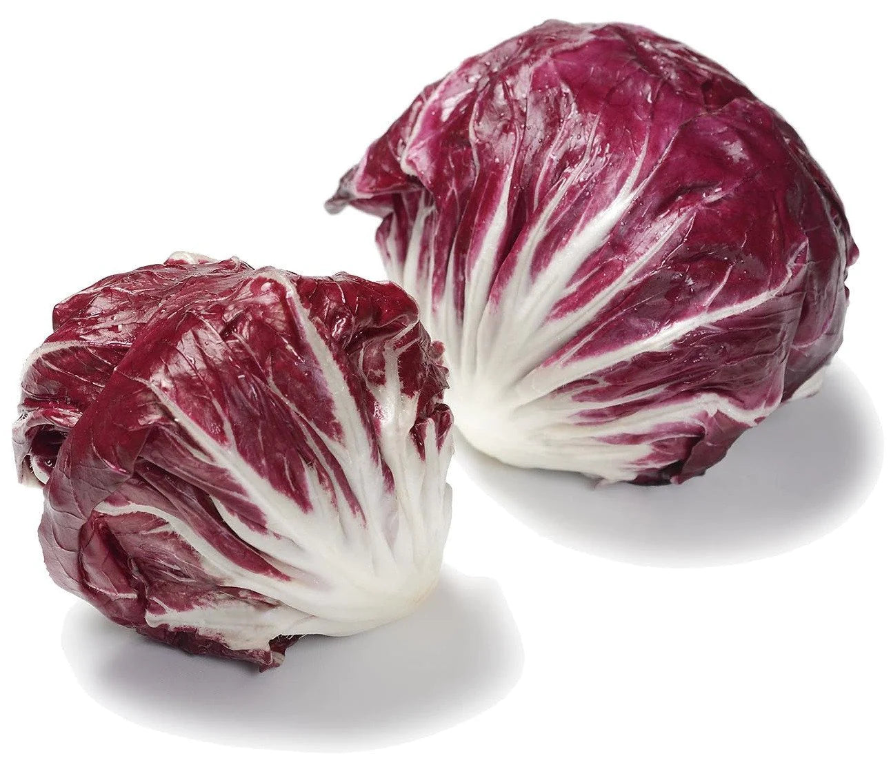 Organic Palla Rossa Radicchio Seeds 