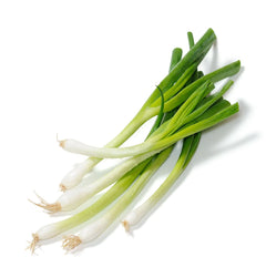 Organic Parade Bunching Onion - Allium fistulosum seeds