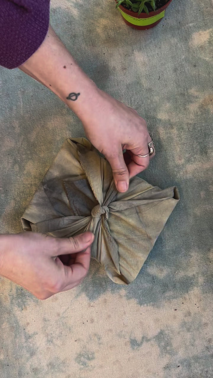 Berbo x Plant Material Gift Wrap