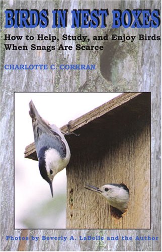 Birds in Nest Boxes