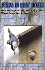 Birds in Nest Boxes